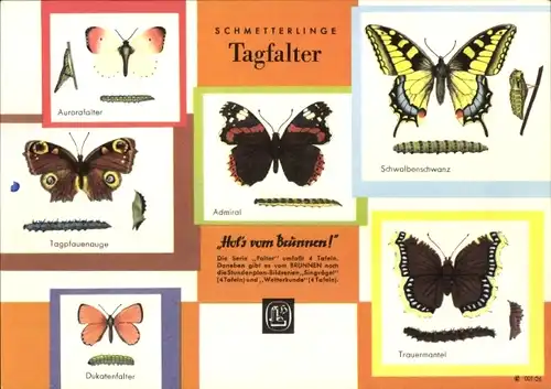 Stundenplan Brunnen Zeichenblock, Schmetterlinge, Tagfalter um 1960