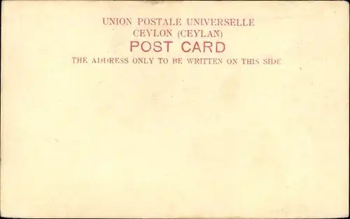 Ak Colombo Ceylon Sri Lanka, Selling Fruit and Vegetables on the Pavements