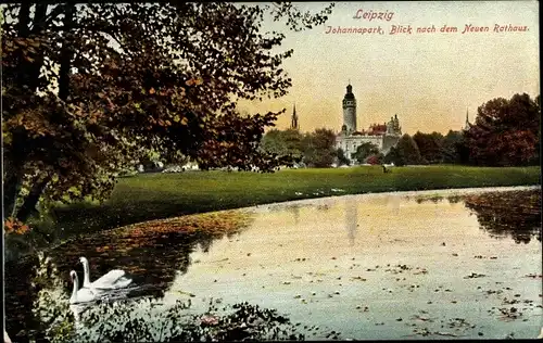 Ak Leipzig in Sachsen, Johannapark, Blick nach dem Neuen Rathaus, See, Schwäne