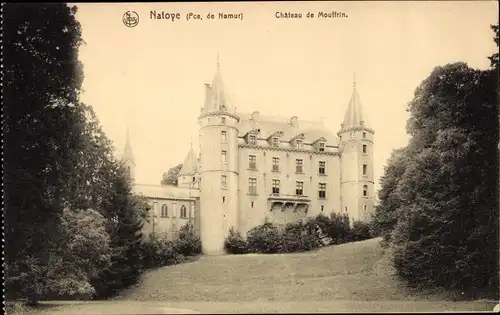 Ak Natoye Wallonien Namur, Chateau de Mouffrin