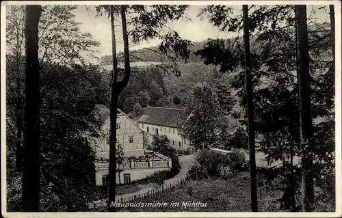 Ak Eisenberg in Thüringen, Mühltal, Naupoldsmühle