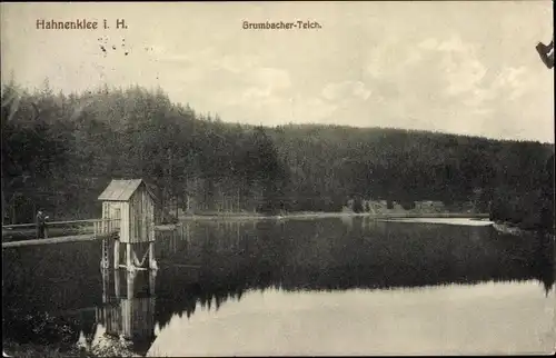 Ak Hahnenklee Bockswiese Goslar im Harz, Grumbacher Teich