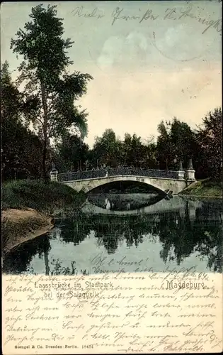 Ak Magdeburg an der Elbe, Laassbrücke im Stadtpark bei der Salzquelle