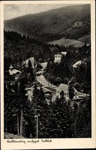 Ak Waldbärenburg Bärenburg Altenberg im Erzgebirge, Ortspartie