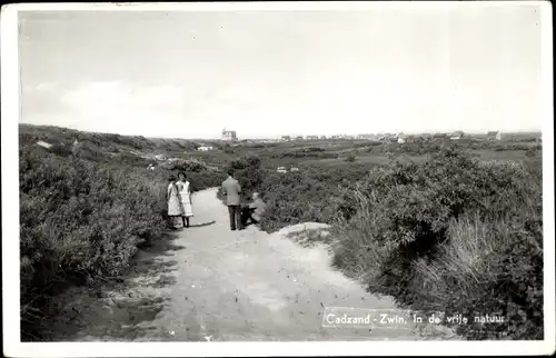 Ak Cadzand Zeeland Niederlande, Zwin, In de vrije natuur