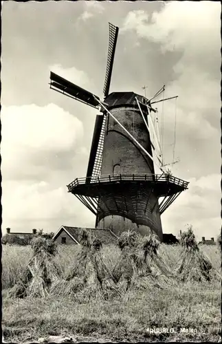 Ak Ruurlo Gelderland, Molen