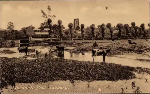 Ak Sudbury East England, Floodgate Pool