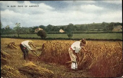 Ak USA, In busy days of harvest, Getreideernte