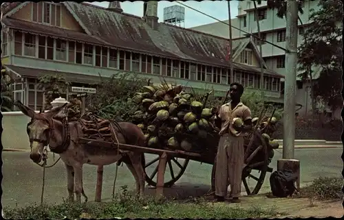 Ak Port of Spain Trinidad, Coconut Vendor