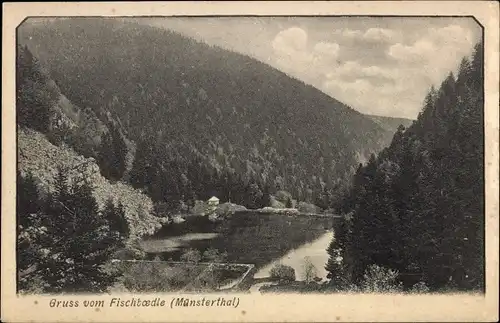 Ak Metzeral Elsass Haut Rhin, Lac de Fischbœdle, Fischbödle, Fischboedle, Münsterthal