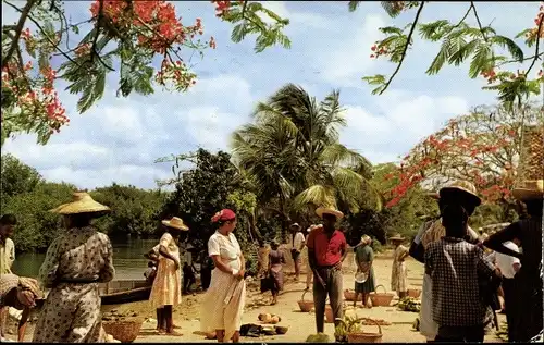 Ak Trois Rivières Martinique, Le marché sous les flamboyants, Marktplatz