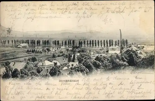 Ak Dombresson Kanton Neuenburg, Gesamtansicht