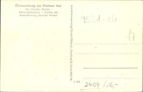 Ak Pönitz Scharbeutz in Ostholstein, Überraschung am Pönitzer See