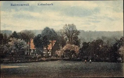 Ak Kattenbusch Radevormwald Bergisches Land, Landschaft, Haus