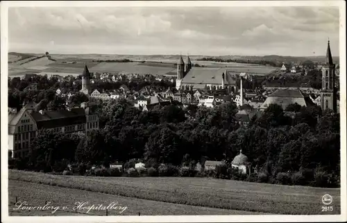 Ak Lwówek Śląski Löwenberg Schlesien, Blick auf den Ort, Hospitalberg, Mädchenmittelschule