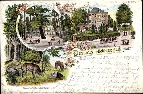 Litho Dessau, Ausflugsorte, Schwedenhaus, Sieglitzer Berg, Vockeroder Busch, Hirsche