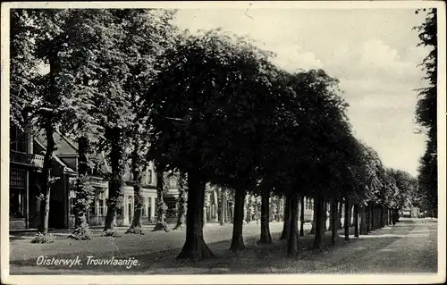 Ak Oisterwijk Nordbrabant Niederlande, Trouwlaantje