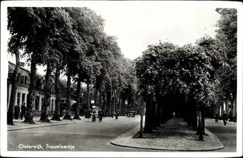 Ak Oisterwijk Nordbrabant Niederlande, Trouwlaantje