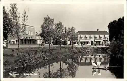 Ak Steenbergen Nordbrabant Niederlande, Plantsoen, Schwäne am Wasser