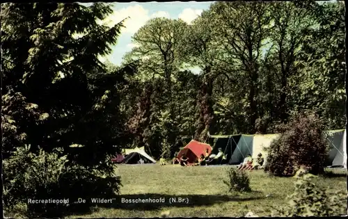 Ak Bosschenhoofd Nordbrabant Niederlande, Rekreatieoord De Wildert, Pagnevaartdreef 3