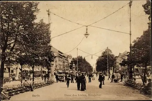 Ak Berlin Mitte, Unter den Linden, Mittelallee