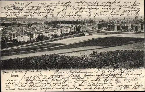 Ak Erfurt in Thüringen, Ortsansicht
