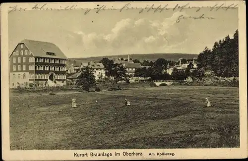 Ak Braunlage im Oberharz, Am Kollieweg