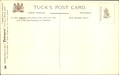 Ak Highland and Lowland, Highland Bull and Cow