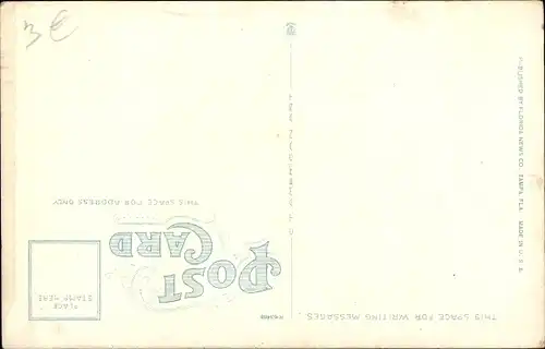 Ak USA, Florida Oranges and Blossoms