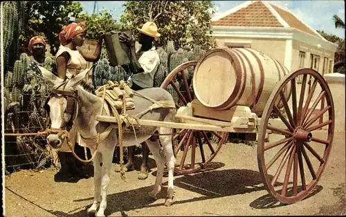 Ak Curaçao, Water Vendor, Wasserverkäufer mit Eselskarren, Fass, Kakteen