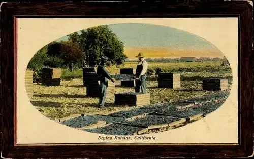 Ak Drying Raisins, California