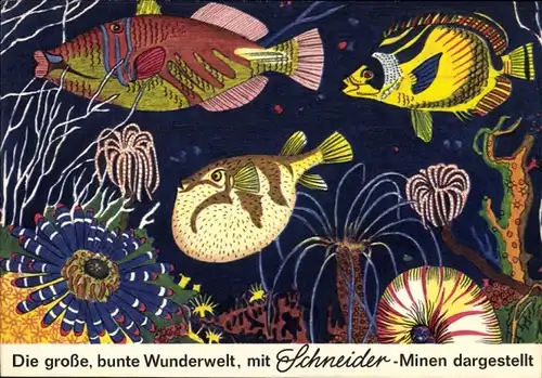 Stundenplan Schneider Minen für Kugelschreiber, Fische um 1960