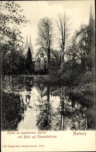 Ak Marburg an der Lahn, Elisabethkirche, Partie im botanischen Garten