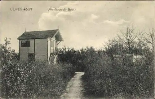 Ak Ulvenhout Nordbrabant Niederlande, Ulvenhoutsch Bosch