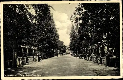 Ak Apeldoorn Gelderland, Brug Regentesselaan