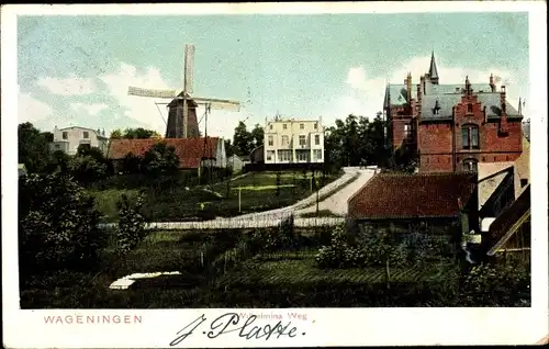 Ak Wageningen Gelderland Niederlande, Wilhelmina Weg, Windmühle