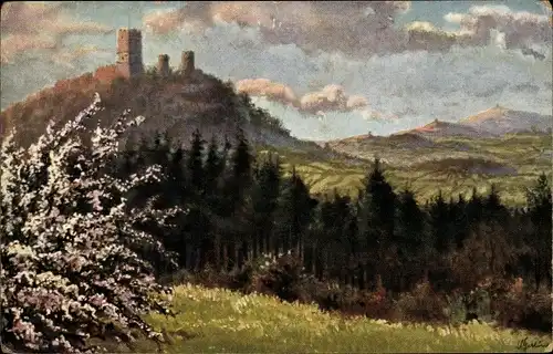 Ak Heppenheim an der Bergstraße, Starkenburg, Blühender Strauch, Bergstraße in der Blütezeit