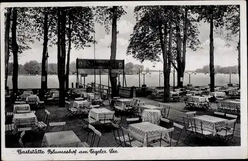 Ak Berlin Reinickendorf Tegel Saatwinkel, Gaststätte Blumeshof am Tegeler See, Terrasse