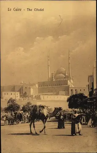 Ak Cairo Kairo Ägypten, The Citadel, Zitadelle, Kamel