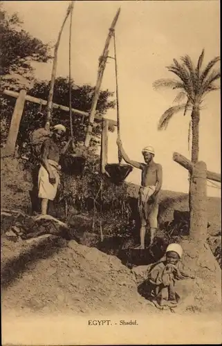 Ak Ägypten, Shaduf, Wasserquelle, Wasserschöpfer