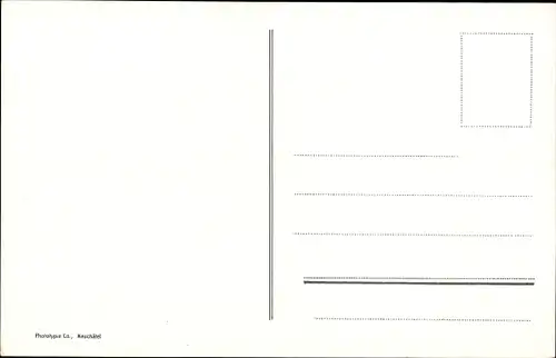 Ak Gemsen im Hochgebirge