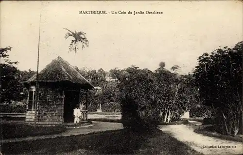 Ak Fort de France Martinique, Un Coin du Jardin Desclieux