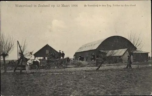 Ak Zeeland Niederlande, Watersnood 12 Maart 1906, Ruine der Boerderij in den Eng. Polder