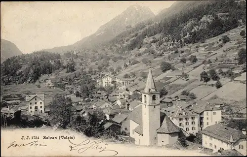 Ak Salvan Kt. Wallis Schweiz, Blick auf den Ort, Gebirge, Felder, Kirche, Hotel