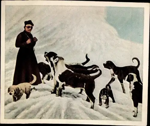 Sammelbild Die Nachkriegszeit Nr. 180 Dez. 1931, Die Mönche von St. Bernhard ziehen nach Tibet