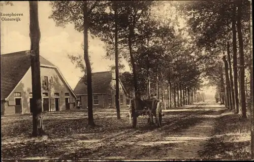 Ak Oisterwijk Nordbrabant Niederlande, Rosephoeve