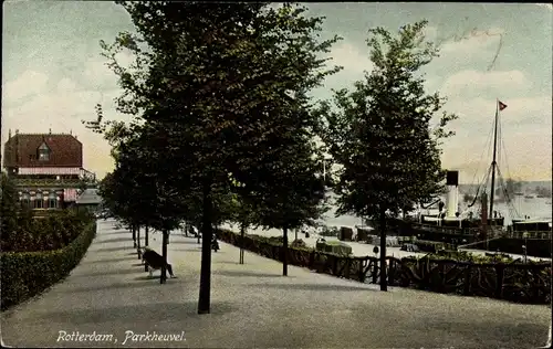 Ak Rotterdam Südholland Niederlande, Parkheuvel