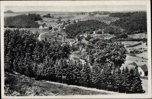 Ak Dahlerau Radevormwald im Oberbergischen Kreis, Panorama