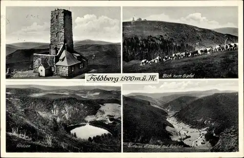 Ak Feldberg im Schwarzwald, Luisenturm, Blick zum Gipfel, Feldsee