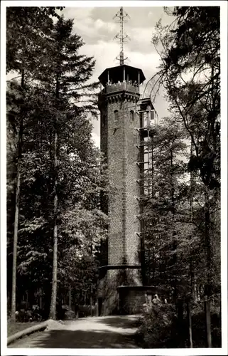 Ak Heidelberg am Neckar, Königstuhl